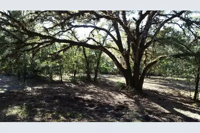 S County Road 13, Orlando, FL 32833 - Photo 6