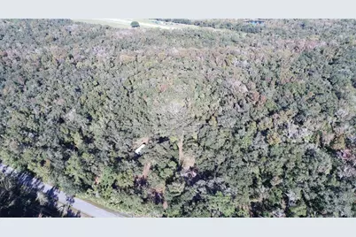 S County Road 13, Orlando, FL 32833 - Photo 4