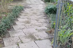 1412 Cr 482N, Lake Panasoffkee, FL 33538 - Photo 18