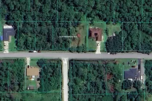 1216 Woodbury Ave, Sebring, FL 33875 - Photo 2