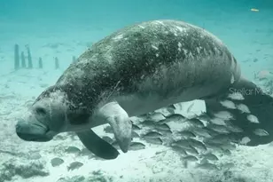 1691 2nd Ave, Deland, FL 32724 - Photo 22