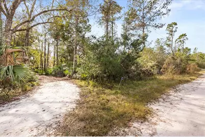 1705 Sunset Trail, Geneva, FL 32732 - Photo 6
