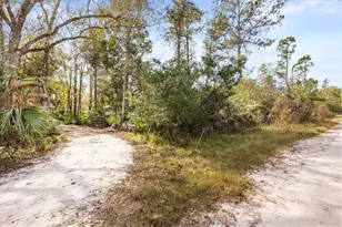1705 Sunset Trail, Geneva, FL 32732 - Photo 6