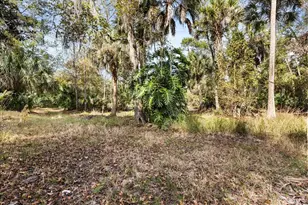 1705 Sunset Trail, Geneva, FL 32732 - Photo 4