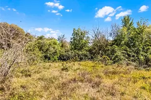 1351 Avalon Rd, Winter Garden, FL 34787 - Photo 1