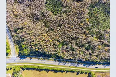 Ham Brown Road, Kissimmee, FL 34746 - Photo 12