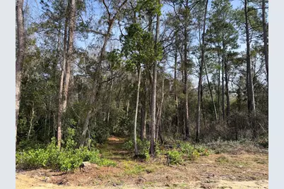 95 Fir Drive, Ocala, FL 34472 - Photo 26