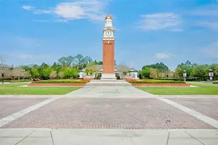 14814 Peekskill Dr, Winter Garden, FL 34787 - Photo 48