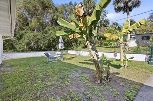 280 Palm Ct, Umatilla, FL 32784 - Photo 60