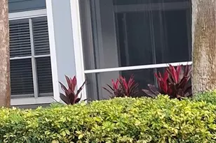 2561 Grassy Point Dr, Lake Mary, FL 32746 - Photo 10