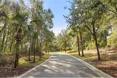 2292 Mountain Pine Street, Ocoee, FL 34761 - Photo 30