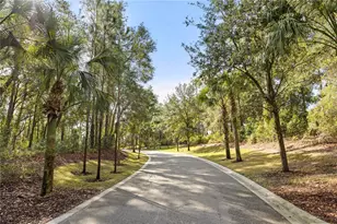 2292 Mountain Pine St, Ocoee, FL 34761 - Photo 30