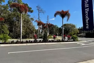 8061 Timberwood Ln, Orlando, FL 32825 - Photo 14