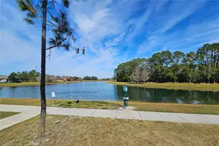 13232 Longacre Dr, Windermere, FL 34786 - Photo 32