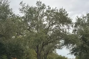 8674 Hunters Key Cir, Tampa, FL 33647 - Photo 2