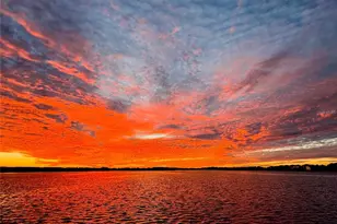 529 Blue Cypress Dr, Groveland, FL 34736 - Photo 6