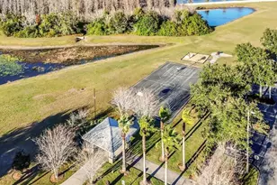 19402 Sweet Grass Way, Lutz, FL 33558 - Photo 44
