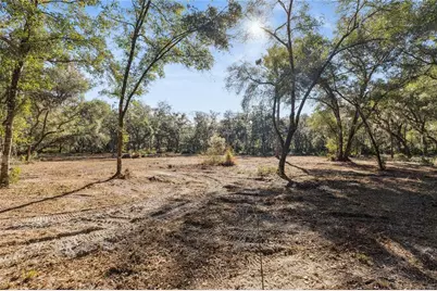 1001 Lake Harney Road, Geneva, FL 32732 - Photo 6