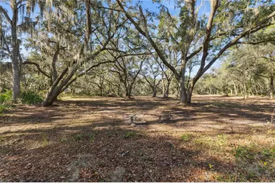 1001 Lake Harney Road, Geneva, FL 32732 - Photo 16