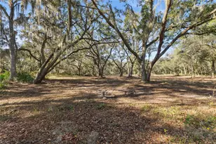 1001 Lake Harney Rd, Geneva, FL 32732 - Photo 16