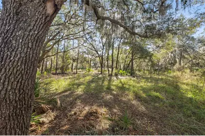 1001 Lake Harney Road, Geneva, FL 32732 - Photo 18