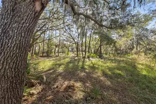 1001 Lake Harney Rd, Geneva, FL 32732 - Photo 18