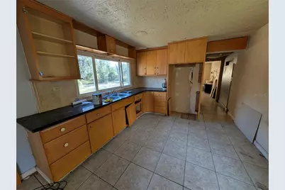 25314 Luke Street, Christmas, FL 32709 - Photo 4