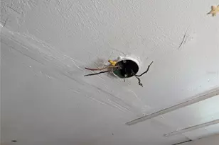 25314 Luke St, Christmas, FL 32709 - Photo 10