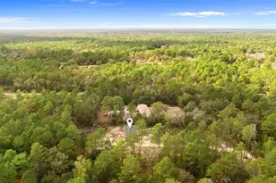 6682 SW 156th Pl, Dunnellon, FL 34432 - Photo 38