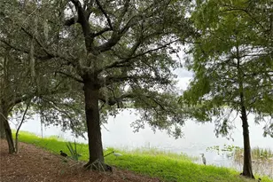 5049 Shoreway Loop, Orlando, FL 32819 - Photo 58