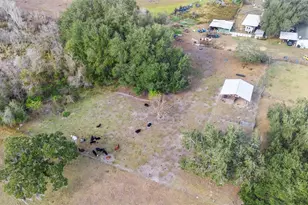 9102 Cr 747, Webster, FL 33597 - Photo 38