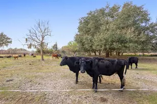 9102 Cr 747, Webster, FL 33597 - Photo 34