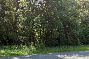 Hutchinson Way, Lady Lake, FL 32159 - Photo 1