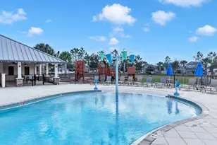 10212 Newel Valley Loop, Riverview, FL 33569 - Photo 56