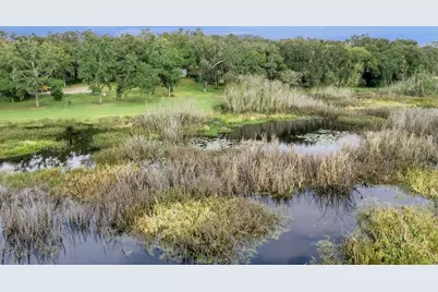 30911 Vista View, Mount Dora, FL 32757 - Photo 8