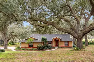 30911 Vista View, Mount Dora, FL 32757 - Photo 1