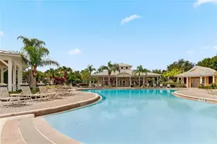 8205 Serenity Spring Dr, Windermere, FL 34786 - Photo 36