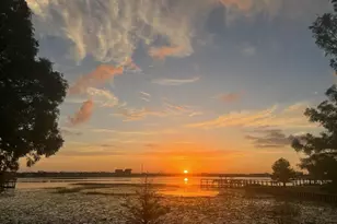 8742 Southern Breeze Dr, Orlando, FL 32836 - Photo 62