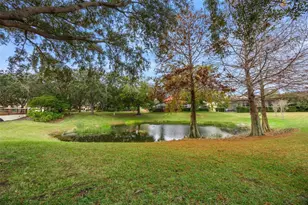 8742 Southern Breeze Dr, Orlando, FL 32836 - Photo 58