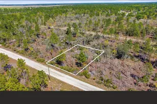 NE 150th Ave, Williston, FL 32696 - Photo 1