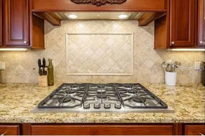 12012 Rambling Oak Boulevard, Orlando, FL 32832 - Photo 8