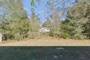 2799 W Sheila Dr, Citrus Springs, FL 34433 - Photo 20