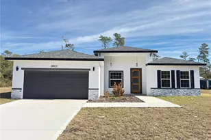 3901 SW 161st Loop, Ocala, FL 34473 - Photo 1