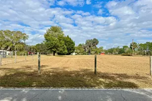 392 Lemon Bluff Rd, Osteen, FL 32764 - Photo 2