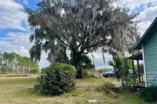392 Lemon Bluff Rd, Osteen, FL 32764 - Photo 14