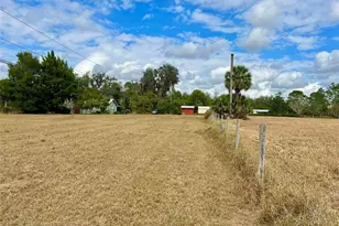 392 Lemon Bluff Rd, Osteen, FL 32764 - Photo 20