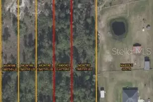 Starry St, Orlando, FL 32833 - Photo 1