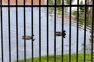 2639 Maitland Crossing Way, Orlando, FL 32810 - Photo 26