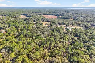 [Address not provided], Altoona, FL 32702 - Photo 52