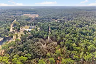 [Address not provided], Altoona, FL 32702 - Photo 50